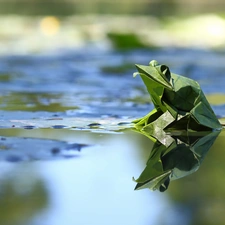 Origami, water, strange frog