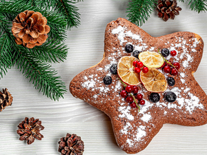 Cookies, gingerbread, boarding, starfish, cones, Christmas, Twigs, Fruits