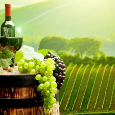 fuzzy, background, Grapes, vineyard, Wine