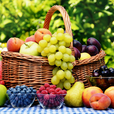 Garden, Fruits, basket