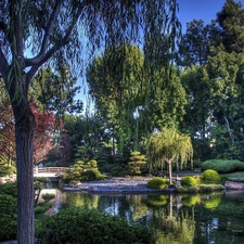 Pond - car, japanese, Garden