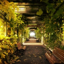 Garden, Bench, Path