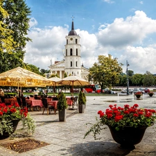 trees, Church, Flowerpots, Restaurant, Vilnius, viewes, With geraniums
