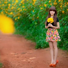 gerberas, Garden, bouquet, Yellow, Women