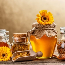 gerberas, honey, Propolis