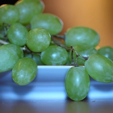 plate, green ones, Grapes