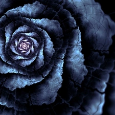graphics, Fraktal, Black, Colourfull Flowers, blue