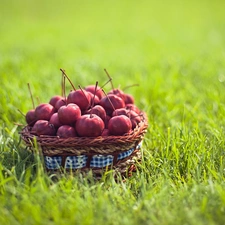 apples, basket, grass, Paradise