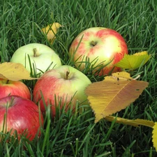 apples, grass