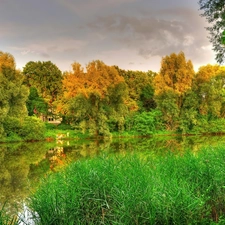 autumn, lake, grass, forest