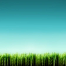 grass, Green, equal