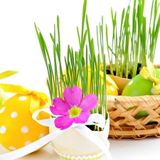 grass, flower, easter, eggs, basket