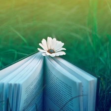 grass, Book, Flower