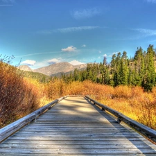 grass, Mountains, trees, viewes, bridges