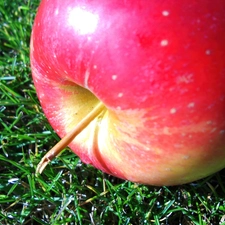 Red, Green, grass, Apple