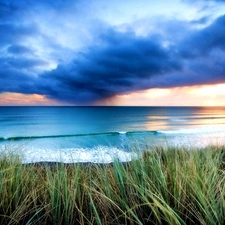 grass, Sky, sea