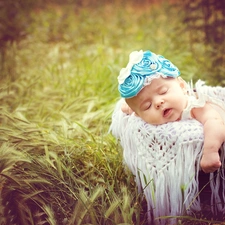 small, basket, grass, girl