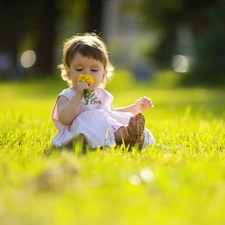 small, Flower, grass, girl