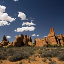 canyon, Clumps, grass, Stones rocks