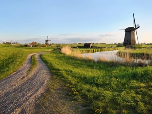 grass, Windmills, Way