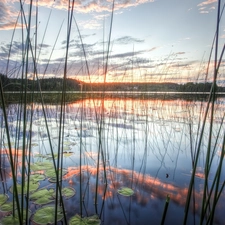 west, lake, grass, sun