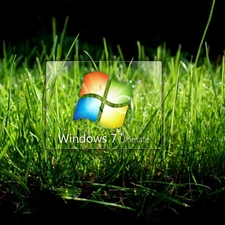 logo, Windows 7, grass