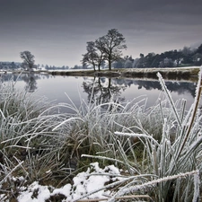 grass, winter, trees, viewes, River