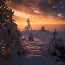 Great Sunsets, winter, viewes, snowy, trees, Ringerike Municipality, Norway, lake