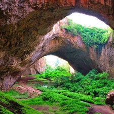 cave, green