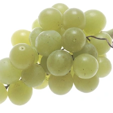 green, spray, grapes