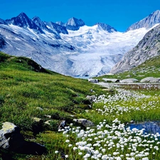 Mountains, The Hills, Flowers, Spring, Swiss Alps, peaks