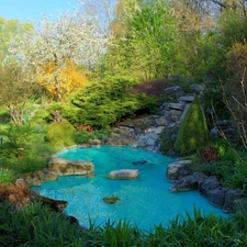 green, Garden, water