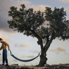 Hammock, trees, watering can, viewes, a man, Funny, photomontage