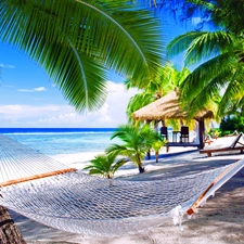 Hammock, sea, Palms