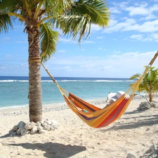 sea, Palm, Hammock, Beaches