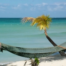 sea, Palm, Hammock, Beaches