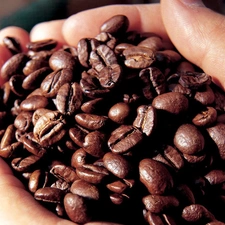 hands, grains, coffee