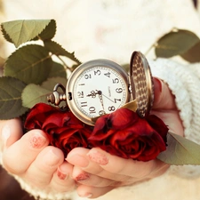 Watch, Red, Hands, Womens, ##, roses