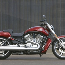 Harley Davidson V-Rod Muscle, right, side