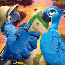 Rio2, brook, Hat, Classifieds