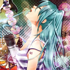 Hatsune Miku, Guitar