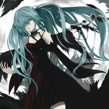 Hatsune Miku, ravel