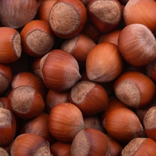 nuts, hazelnuts