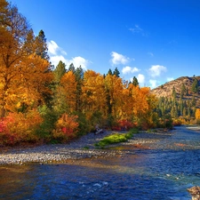 Hill, autumn, River