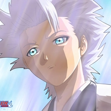 captain, Toshiro Hitsugaya