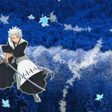 Hitsugaya Toshoro