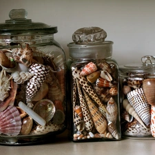 Shells, decoration, hobby, Jars