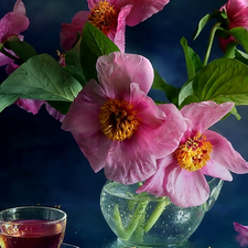 pitcher, Pink, Hollyhocks, cup