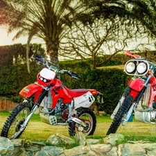 Palms, Stones, Motorcycles, Honda XR, Two cars