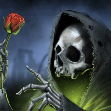 hood, skeleton, rose